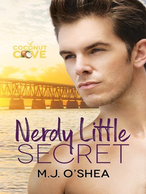 cover image of Nerdy Little Secret